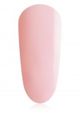 TGB Plum Blossom