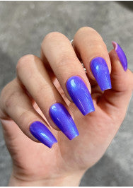 The Gel Bottle Aster