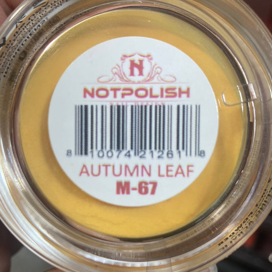 NP POWDER AUTUMN LEAF M67