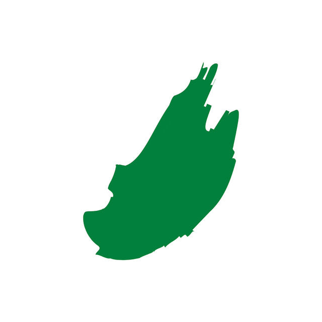 The Gel Bottle Bottega Studio Gel