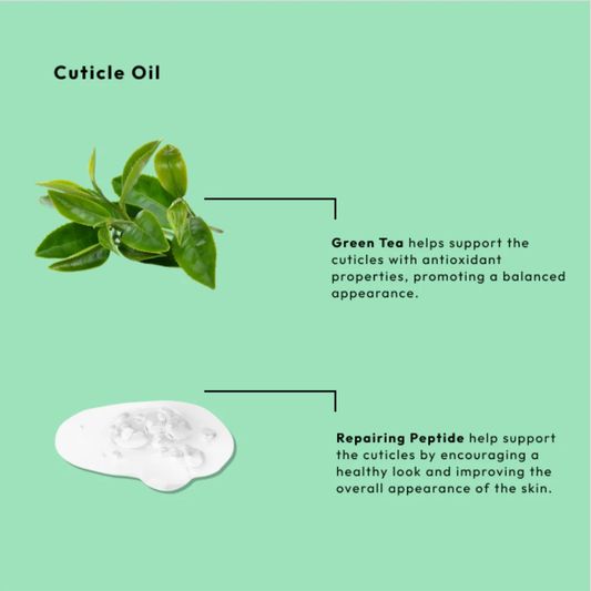 BCL Green Tea & Repairing Peptide Nail & Cuticle Oil (1 Fl Oz)