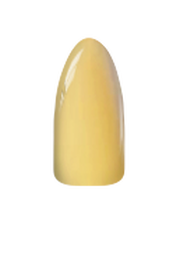 CHISEL Dip/Dap Powder - Solid 196