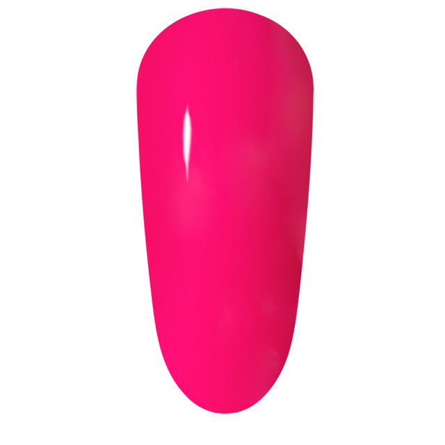 TGB Paloma