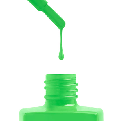 APRES TPO & Hema Free Gel Couleur - C203 Kung Fu Tortoise