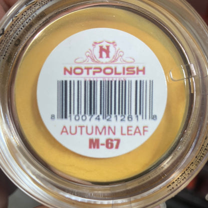 NP POWDER AUTUMN LEAF M67
