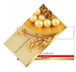 BER Envelope Only EN106