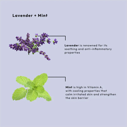 BCL Massage Cream Lavender + Mint (128 oz)