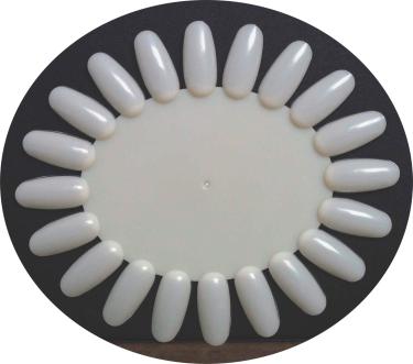 BER Oval Tip Display (20 x 10)