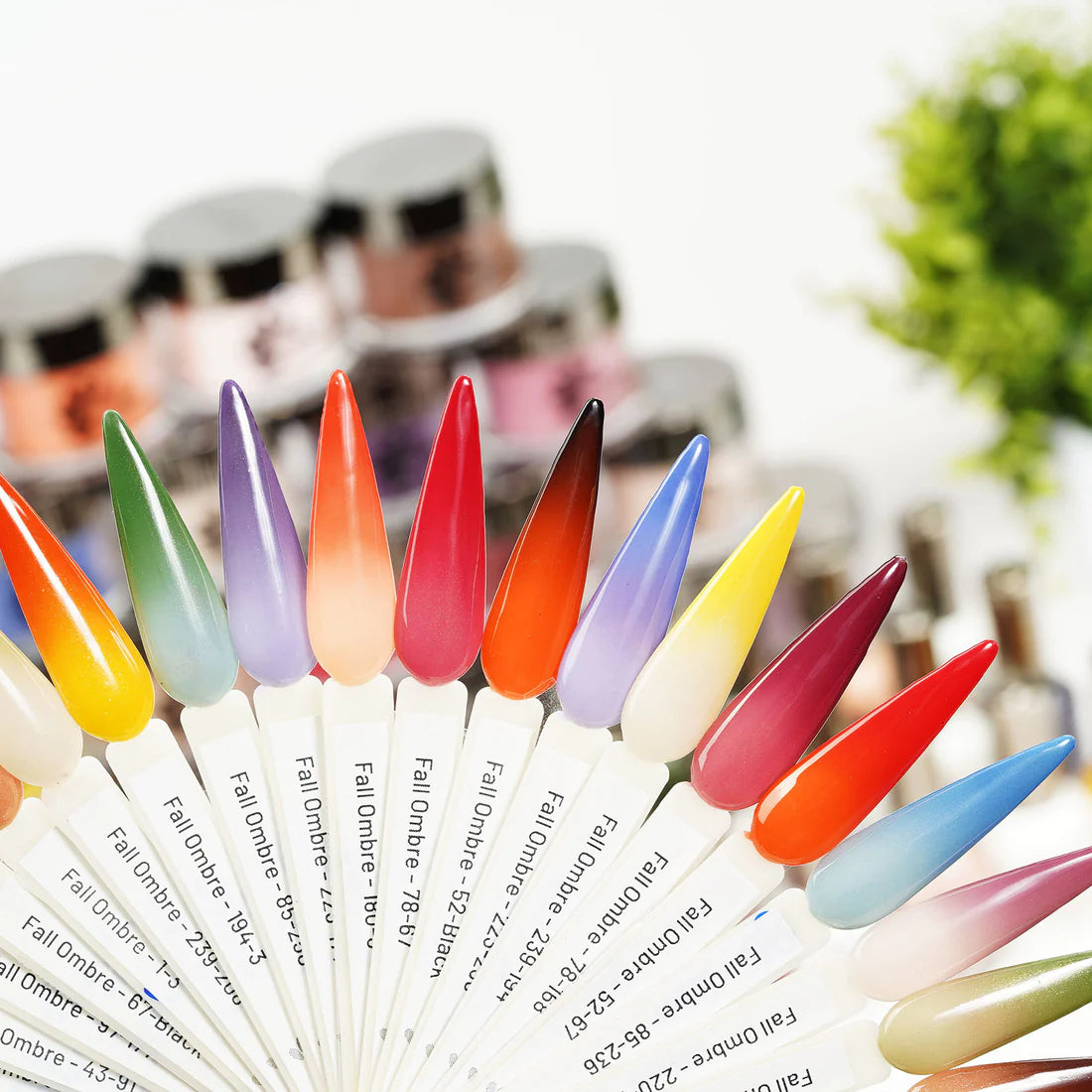 NITRO Sunset Ombre Collection Powder (24 Colors)