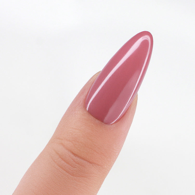 PM Pro Duo - Dried Roses