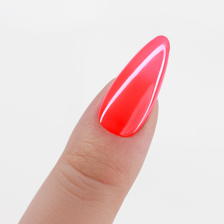 PM Pro Duo - Great Vibes