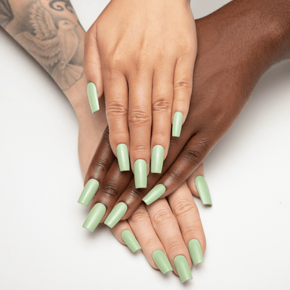 Apres TPO & Hema Free Gel Couleur - C353 Sage Advice