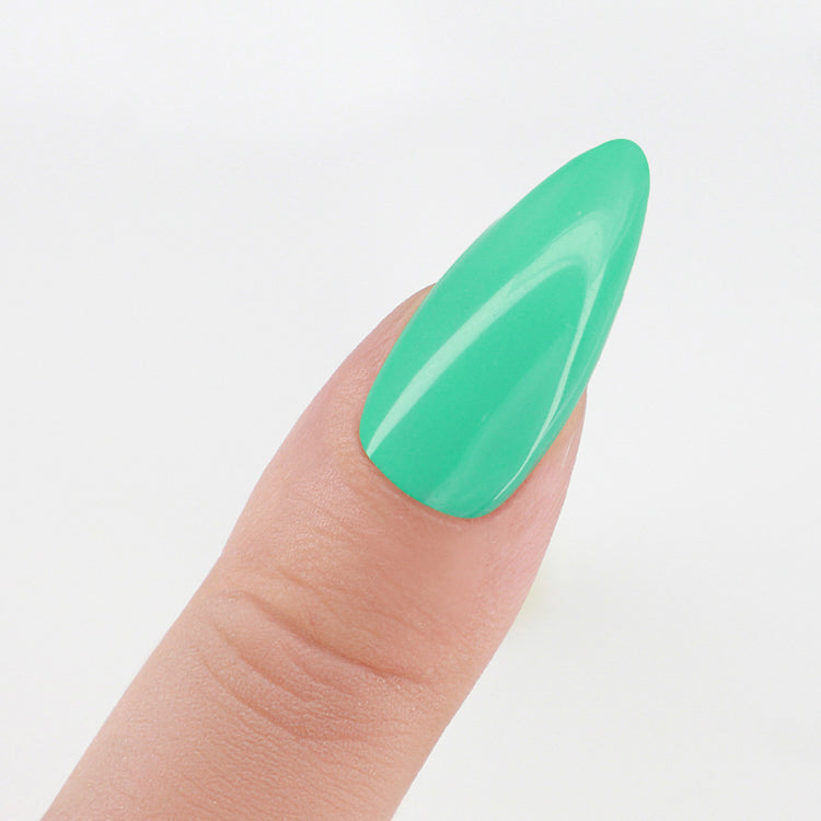 PM Pro 3in1 Powder 42gm - My Tiffany