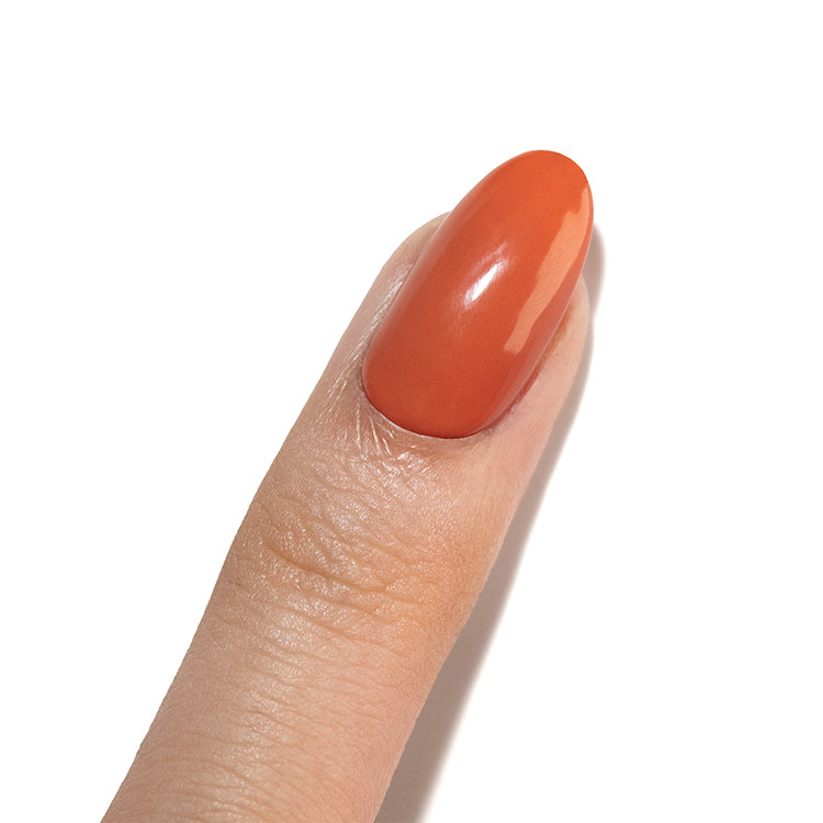 Lechat Gel Color & Top in One - Griffin