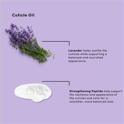 BCL Lavender & Strengthening Peptide Nail & Cuticle Oil (1 Fl Oz)