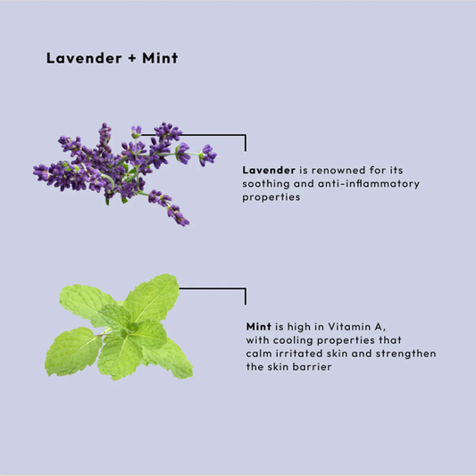 BCL Lavender + Mint Complete 4-step (1pk)