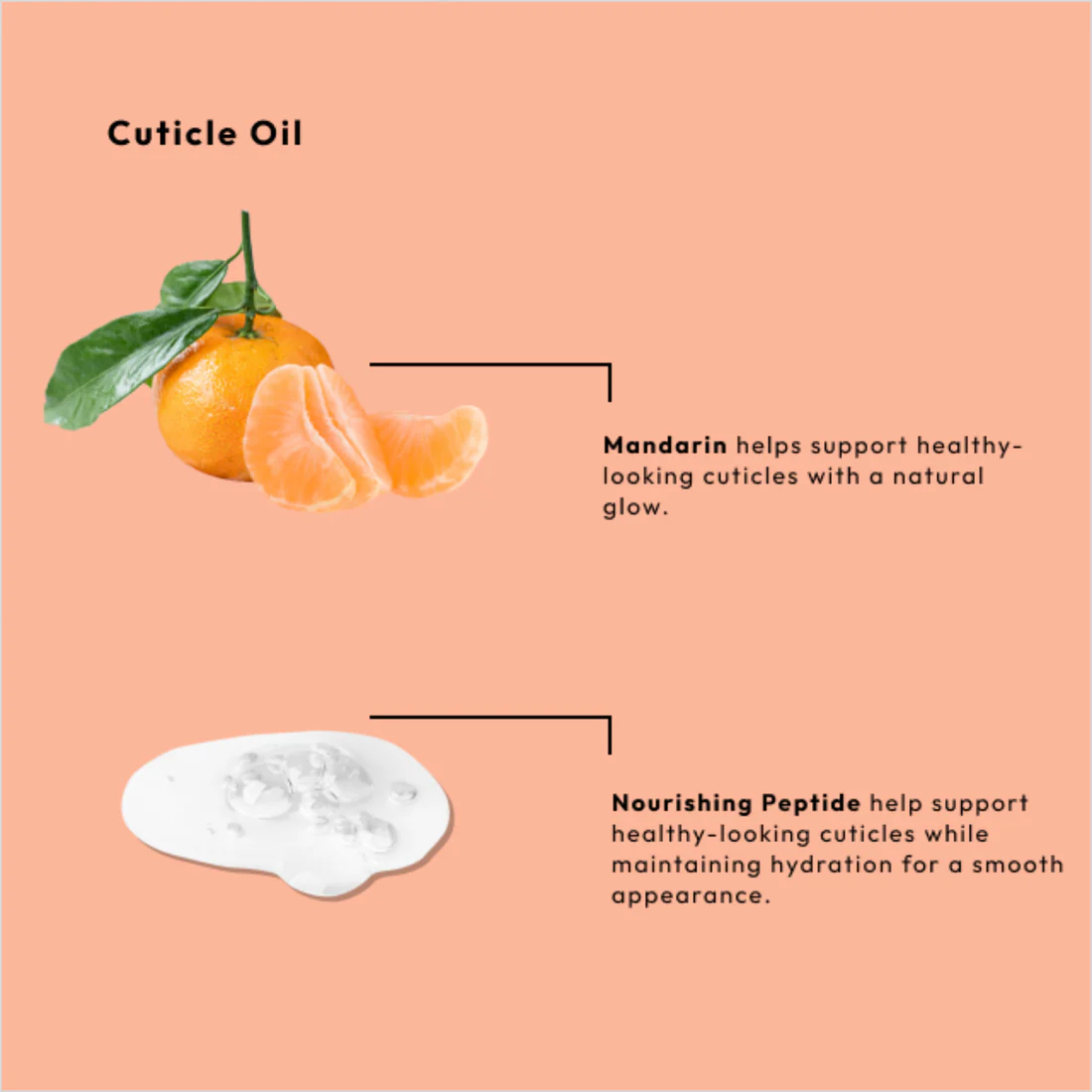 BCL Mandarin & Nourishing Peptide Nail & Cuticle Oil (1 Fl Oz)