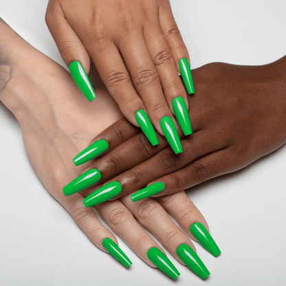 APRES TPO & Hema Free Gel Couleur - C203 Kung Fu Tortoise