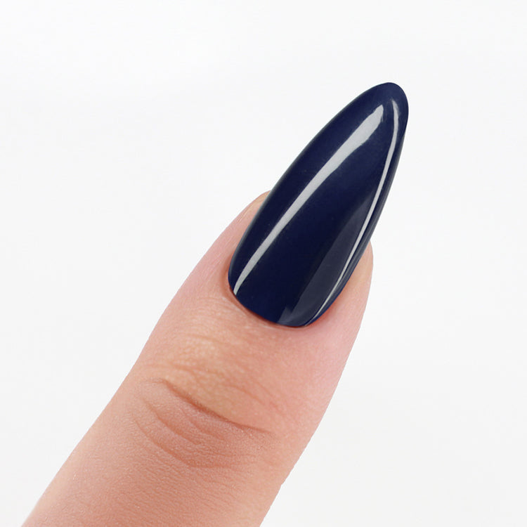 PM Pro 3in1 Powder 42gm - Evening Song