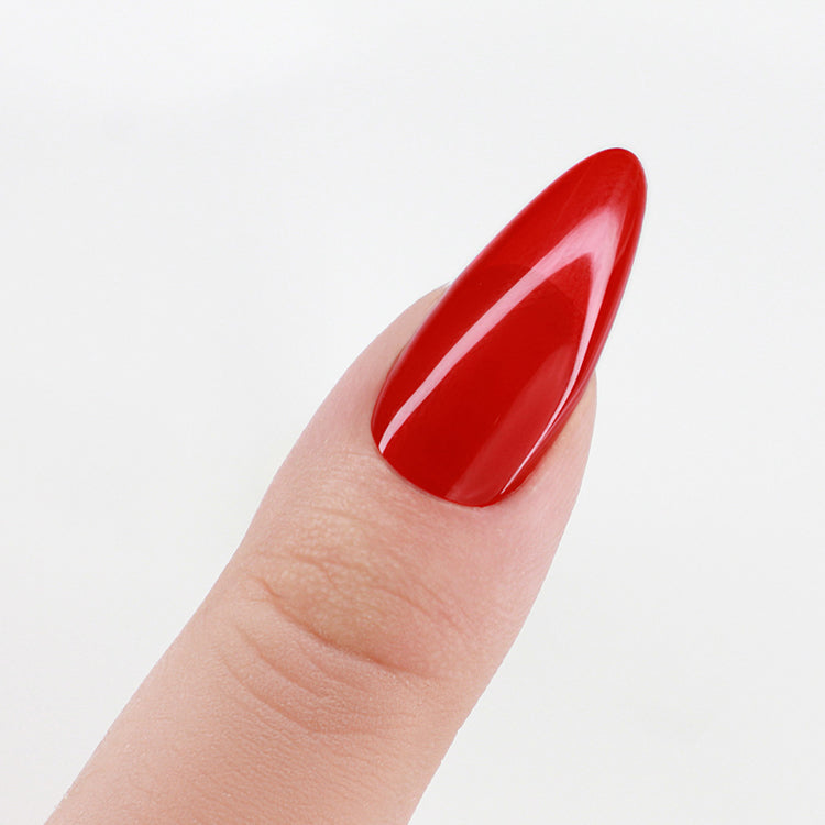 PM Pro 3in1 Powder 42gm - Number One Fan