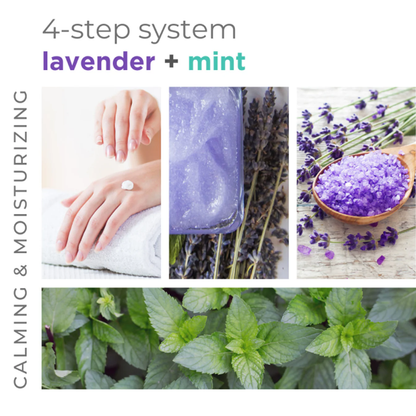 BCL Sugar Scrub Lavender + Mint (128 oz)