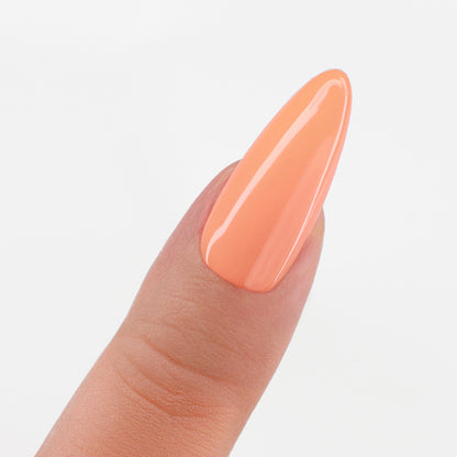 PM Pro Duo - Apricot Splash