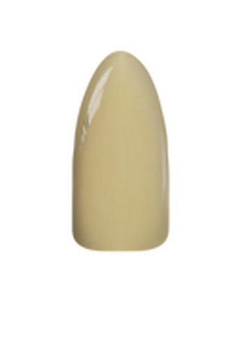 Chisel Dip/Dap Powder 2 oz SOLID collection 091-180