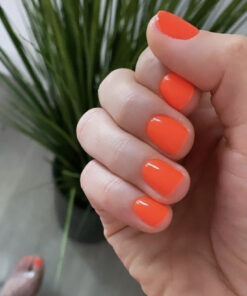 DC Duo #272 HOT MESS